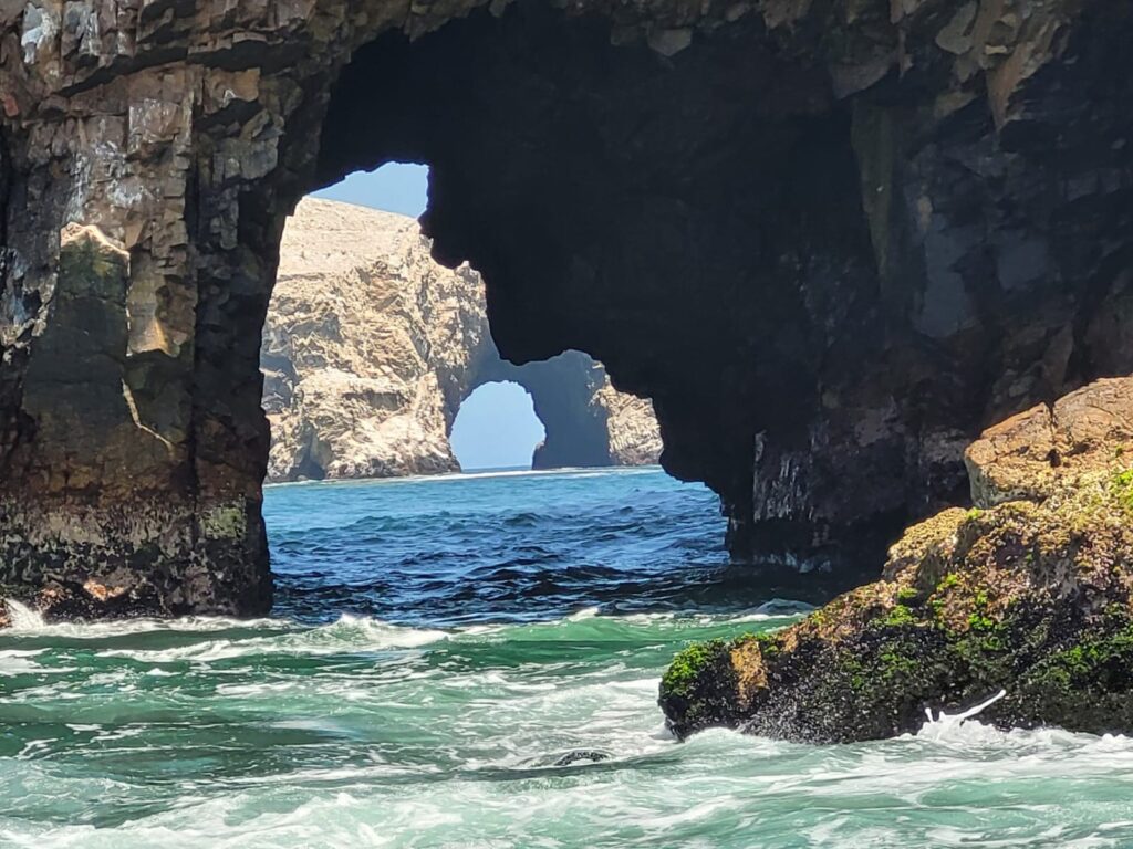 Private Tour Ballestas Islands