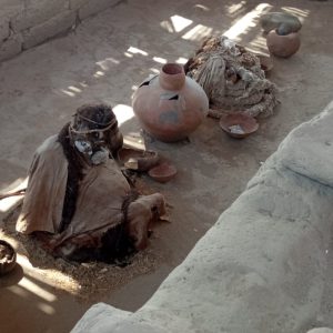 Nazca Tour from Huacachina