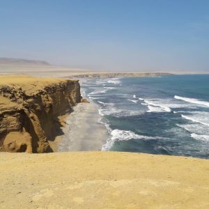 Paracas Tours from Chincha