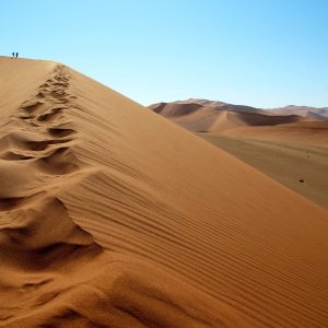 Paracas Huacachina Full Day