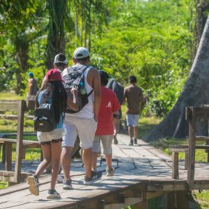 Peruvian Jungle Tours