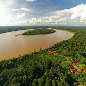 Jungle Lago Sandoval