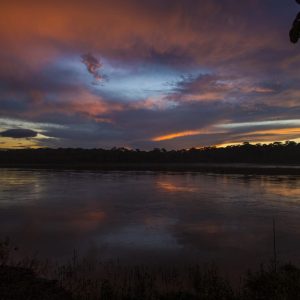 Rainforest Amazonas Peru