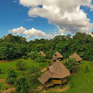 Peruvian Jungle Tours