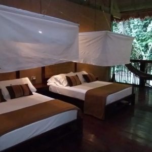 Rainforest Amazonas Peru