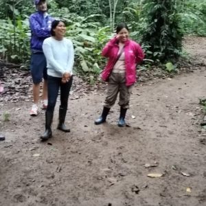 Rainforest Amazonas Peru