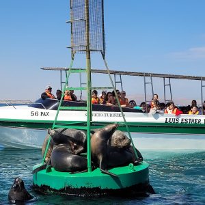 Paracas Huacachina Full Day