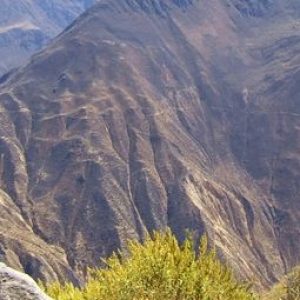 Colca Canyon Trekking Arequipa