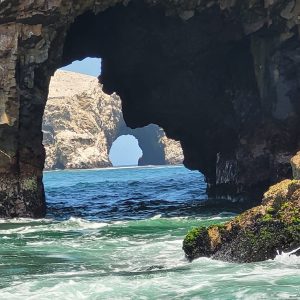 Private Tour Ballestas Islands
