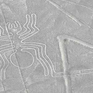 Nazca Paracas from Cusco